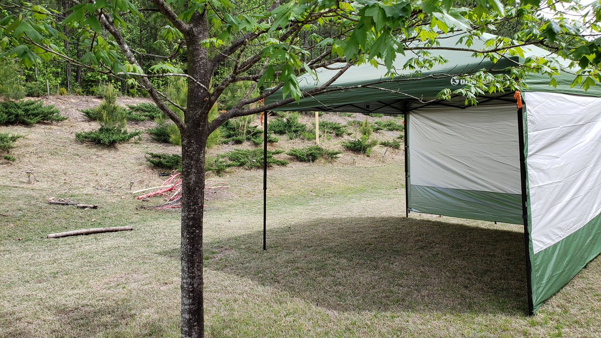 kalvetu's tweet image. மண்,சகதி,புல்,பூச்சி,தூசி ,மழை,ஈரம்,மரவேலை ,பெயிண்ட் வேலை என்று இருக்கும் பணிகளில் அதிகநேரம் வெளியில் செலவிட இருப்பதால், வெளியில் கொட்டகை அமைக்க ஆரம்பித்தாகிவிட்டது. இனி பெரும்பகுதி நேரம் இங்குதான்.

I will keep this thread updated 👍💐
#BackyardProject 
#2020_Initiative