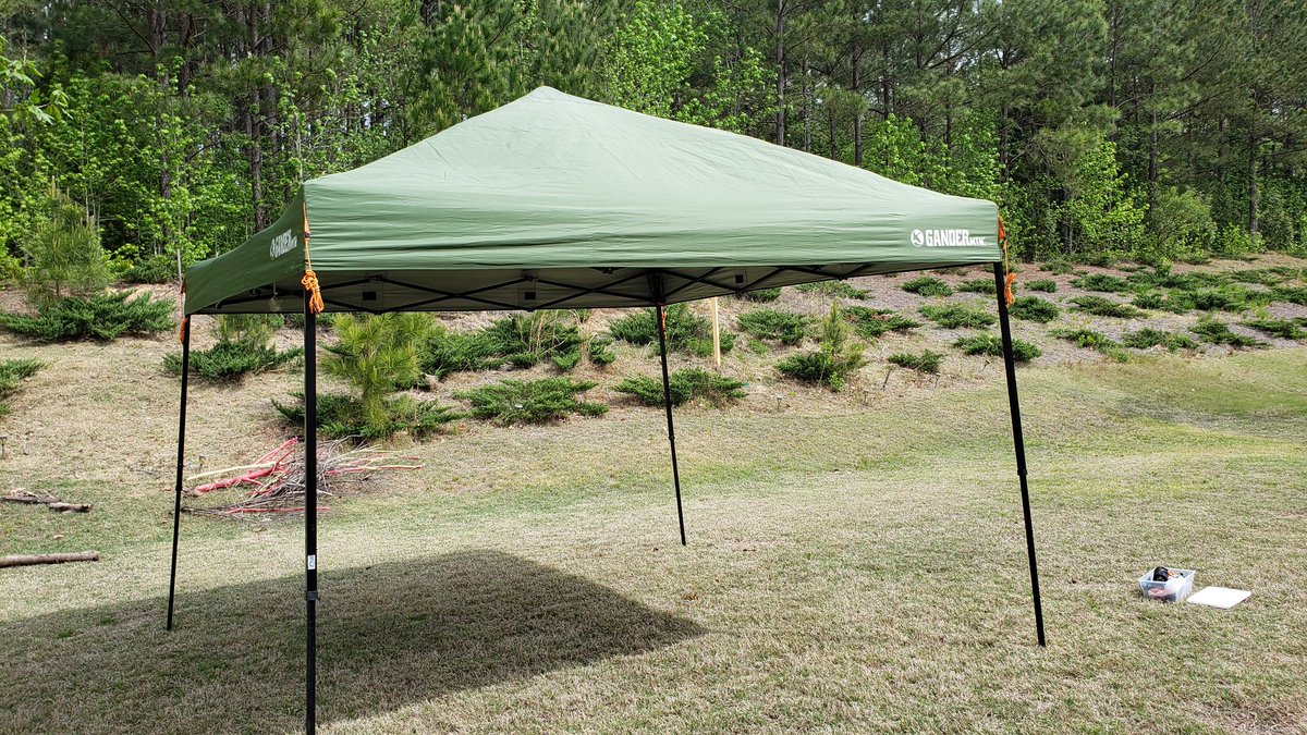 kalvetu's tweet image. மண்,சகதி,புல்,பூச்சி,தூசி ,மழை,ஈரம்,மரவேலை ,பெயிண்ட் வேலை என்று இருக்கும் பணிகளில் அதிகநேரம் வெளியில் செலவிட இருப்பதால், வெளியில் கொட்டகை அமைக்க ஆரம்பித்தாகிவிட்டது. இனி பெரும்பகுதி நேரம் இங்குதான்.

I will keep this thread updated 👍💐
#BackyardProject 
#2020_Initiative