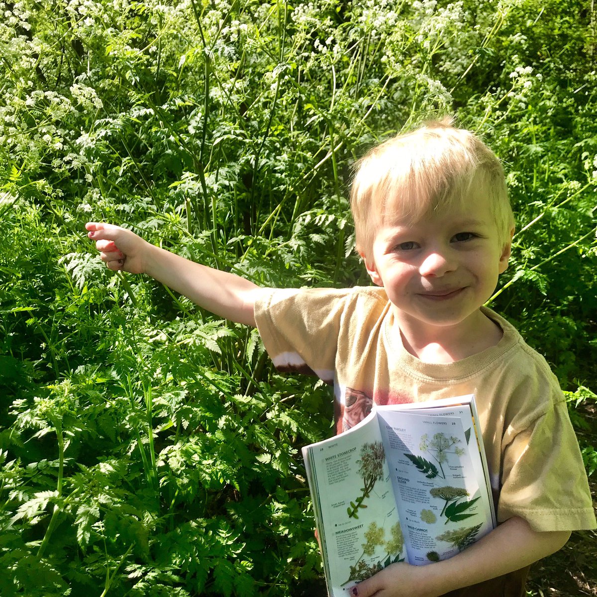 3. Cow Parsley. Bigger than Theo! Lots of it too.  #twopointsixchallenge  #tooting  #fundraising  @bowelcanceruk  @dkbooks That’s it for today - three more tomorrow! X