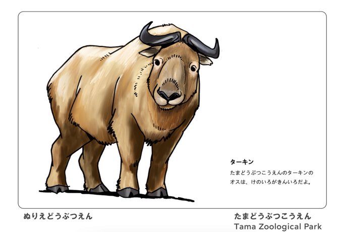 ぬりえどうぶつえんのtwitterイラスト検索結果