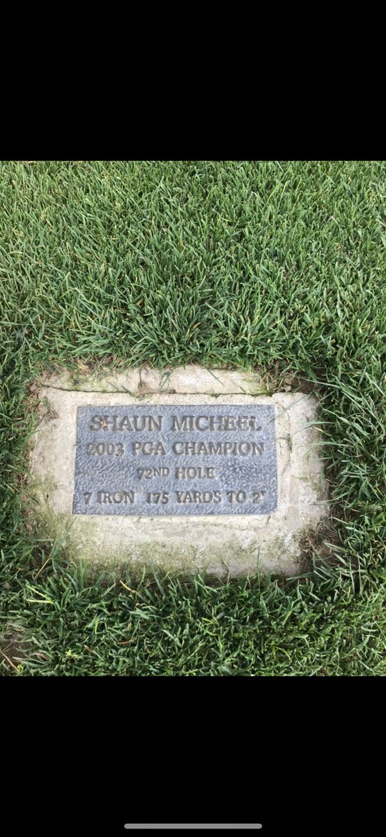 Chriskamin's tweet photo. @shaunmicheelpga @halsuttongolf https://t.co/yUxiw2wRKF
