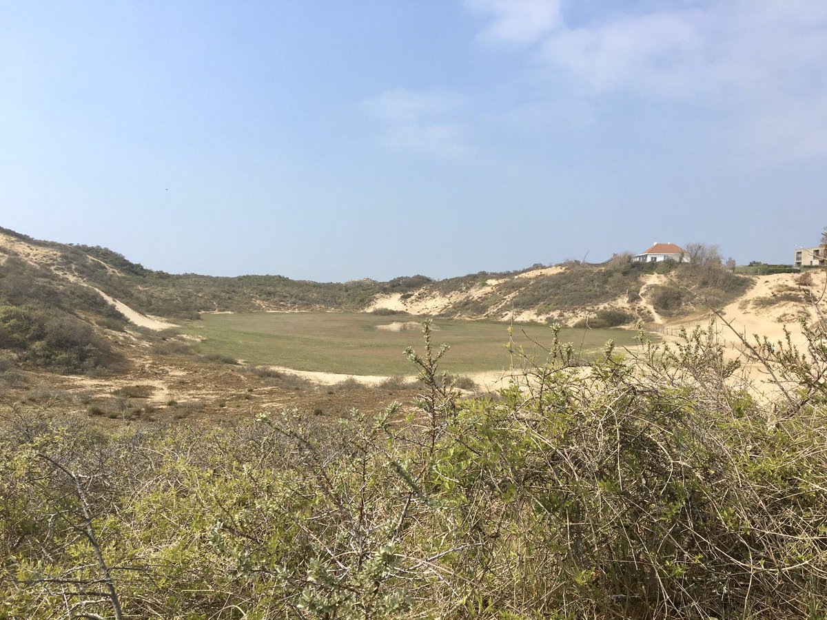 GuidoDecorte's tweet photo. Wandelen in eigen @gem_Koksijde zalig! Het zijn de kleine dingen die het doen https://t.co/kuz1p4CeIX