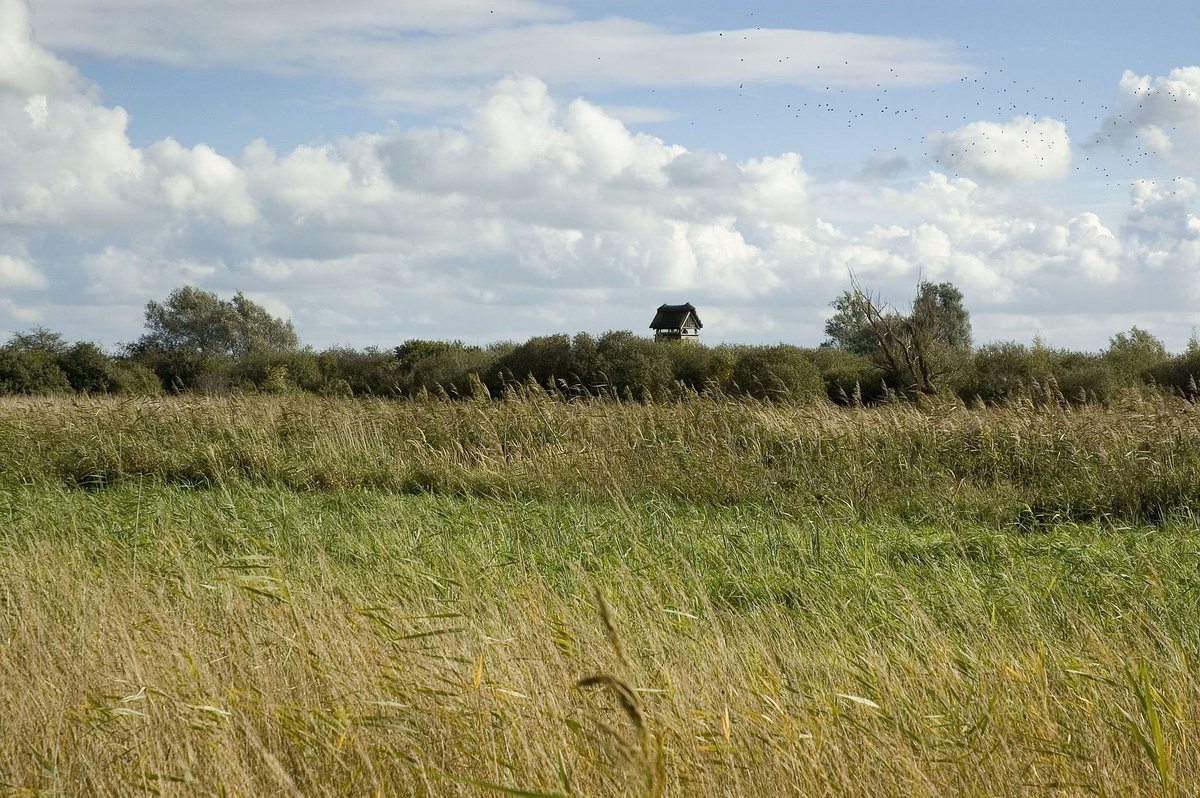 MEGA THREAD. A recent tweet mentioned British imperialism and how it historically wreaked suffering abroad, but not at home. I think we need to talk about the somewhat forgotten  #history of British internal colonialism. Specifically, within  #TheFens of eastern England. 1/