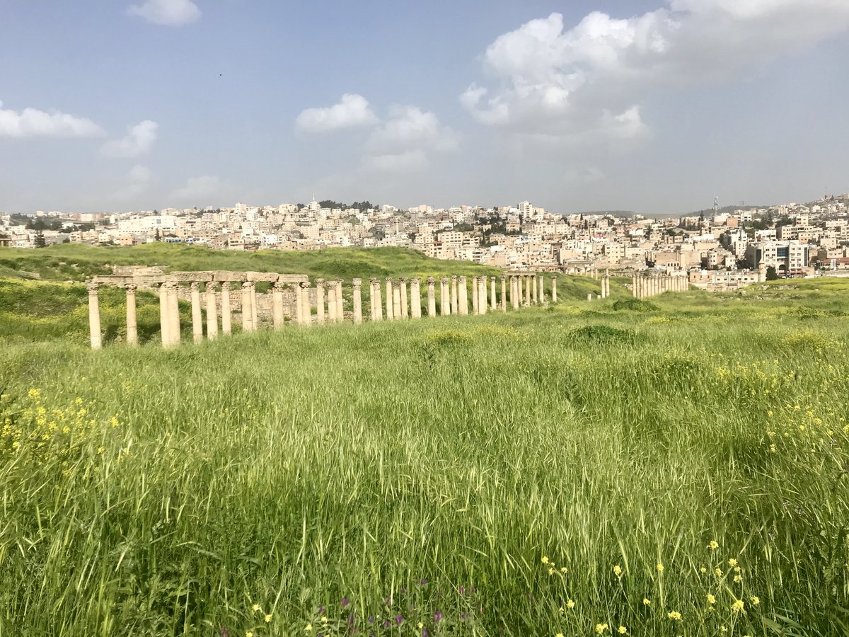 Walking down the colonnaded street is a memorable experience, especially at this time of year when the flowers are blooming! In 1867, the  @PalExFund visited in winter, so the view, though no less impressive, was a touch less pastoral than on last year's  @Martin_Randall tour