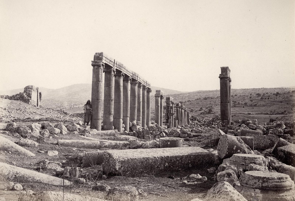 Walking down the colonnaded street is a memorable experience, especially at this time of year when the flowers are blooming! In 1867, the  @PalExFund visited in winter, so the view, though no less impressive, was a touch less pastoral than on last year's  @Martin_Randall tour