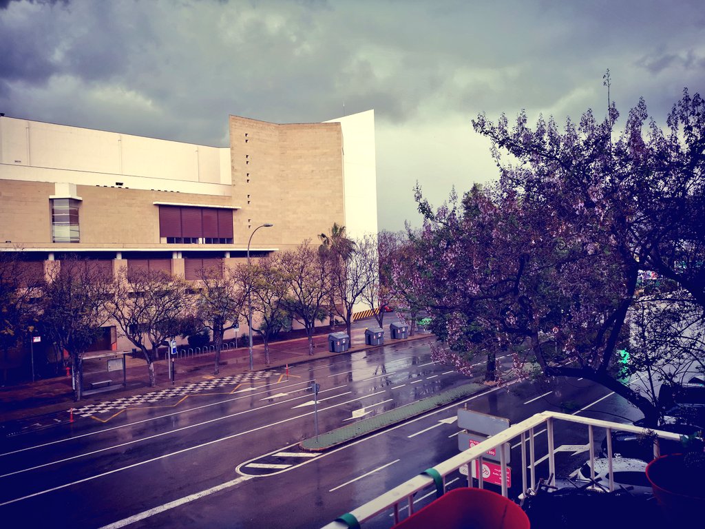 crisgapink's tweet photo. Pues un chino se comió un pangolín y en Murcia estuvo un mes lloviendo. https://t.co/Epa0Lr5mGn
