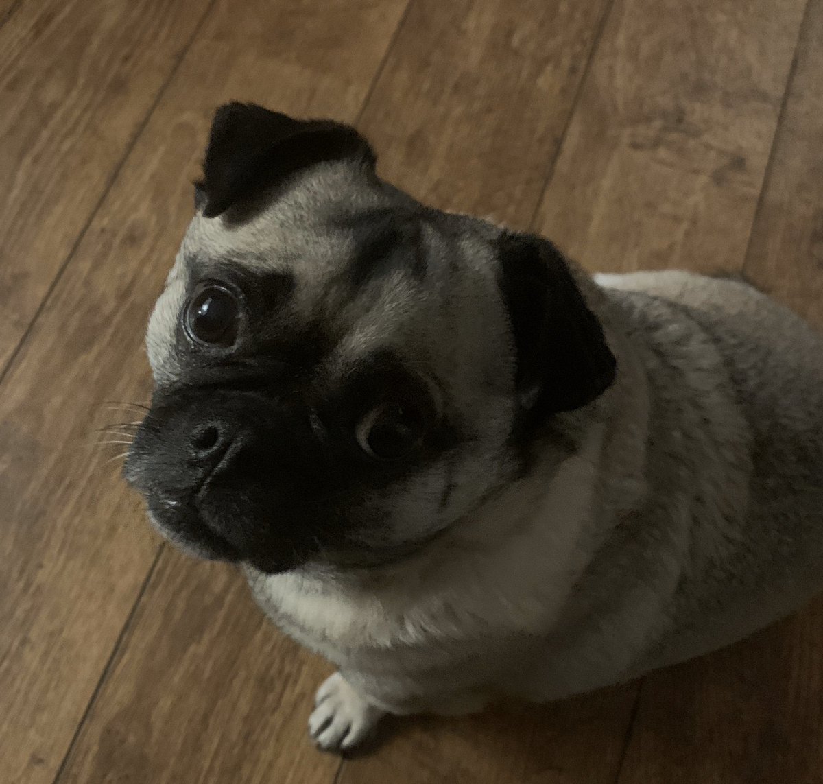 Jo Hemming tweet media