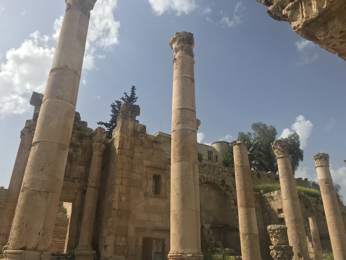  @Martin_Randall Essential Jordan Tour Day 2. The stunning Temple of Artemis dominates the skyline of Jerash. Here it is in the distance from the buildings behind the colonnaded street, and its Propylaeum. You can also just see the 1930s excavation dig house peeking out behind!