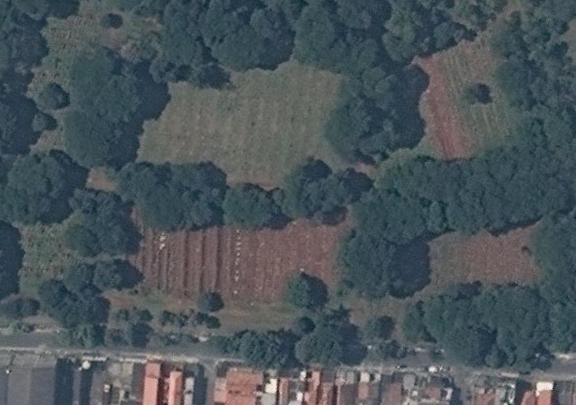 More mass graves are being dug on this satellite image from April 9th, here in Vila Formosa, a neighbourhood in Sao Paulo. At least 160 plots are visible here, in a city that's lost at least 990 people to the disease. On April 9th there were roughly half as many deaths as today