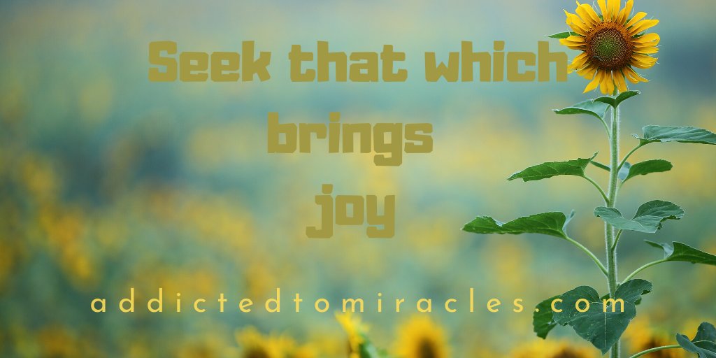 Seek that which brings joy.

addictedtomiracles.com

#morejoy ##behappy #joyful #choosejoy #happylife #abundant #innerpeace #play #havefun