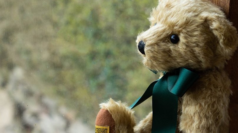 Steiff 2022 Event Teddy Bear 421709 Ashby Bears UK Steiff Authorised Dealer