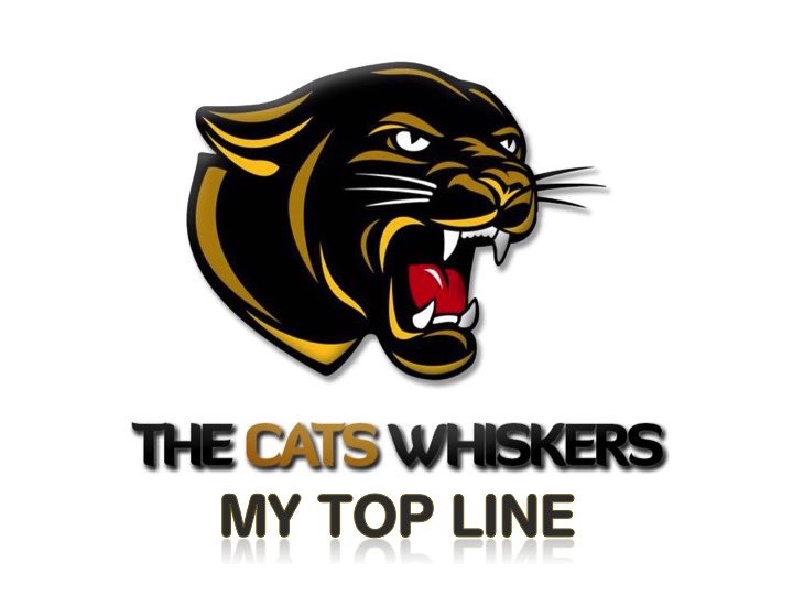 The Cats Whiskers tweet media