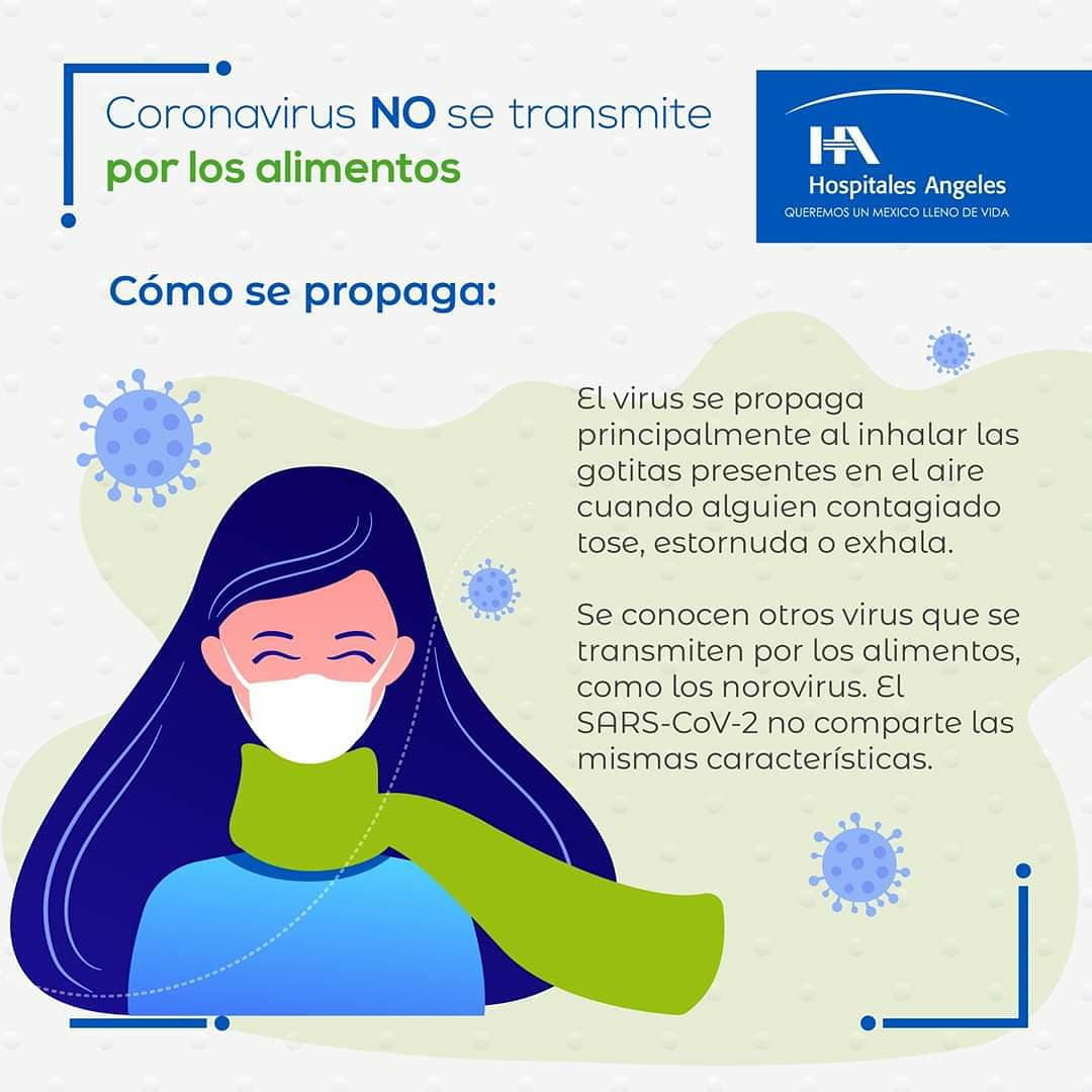 hospitalangeles's tweet photo. La pandemia causada por la #Covid-19 ha generado preocupación entre las personas por su posible contagio a través de los alimentos, pero no existe ninguna evidencia al respecto.
Conoce más sobre este tema:
https://t.co/qeWlQA6gTb

#coronavirus l #QuédateenCasa l #compartesalud https://t.co/yrEgjrKZpC