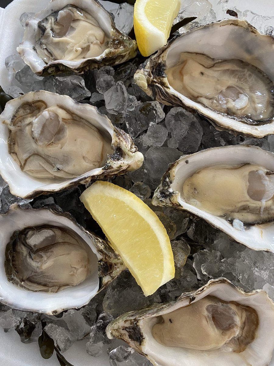 anita_hoog's tweet photo. Heerlijk thuisdiner verzorgd door @CopainsLes #oesters #kreeft #heilbot https://t.co/18tEWL2bu7