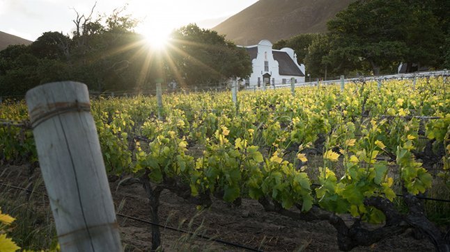 GrootConstantia's tweet photo. Groot Constantia has stood the test of time for 335 years: through World Wars, The Great Depression, droughts, floods, fires, 1918 Spanish Flu and now COVID-19 โ we are not going anywhere any time soon and look forward to welcoming you back #CantWaitToBeBack #StoodTheTestOfTime https://t.co/PmfZDeL2hw