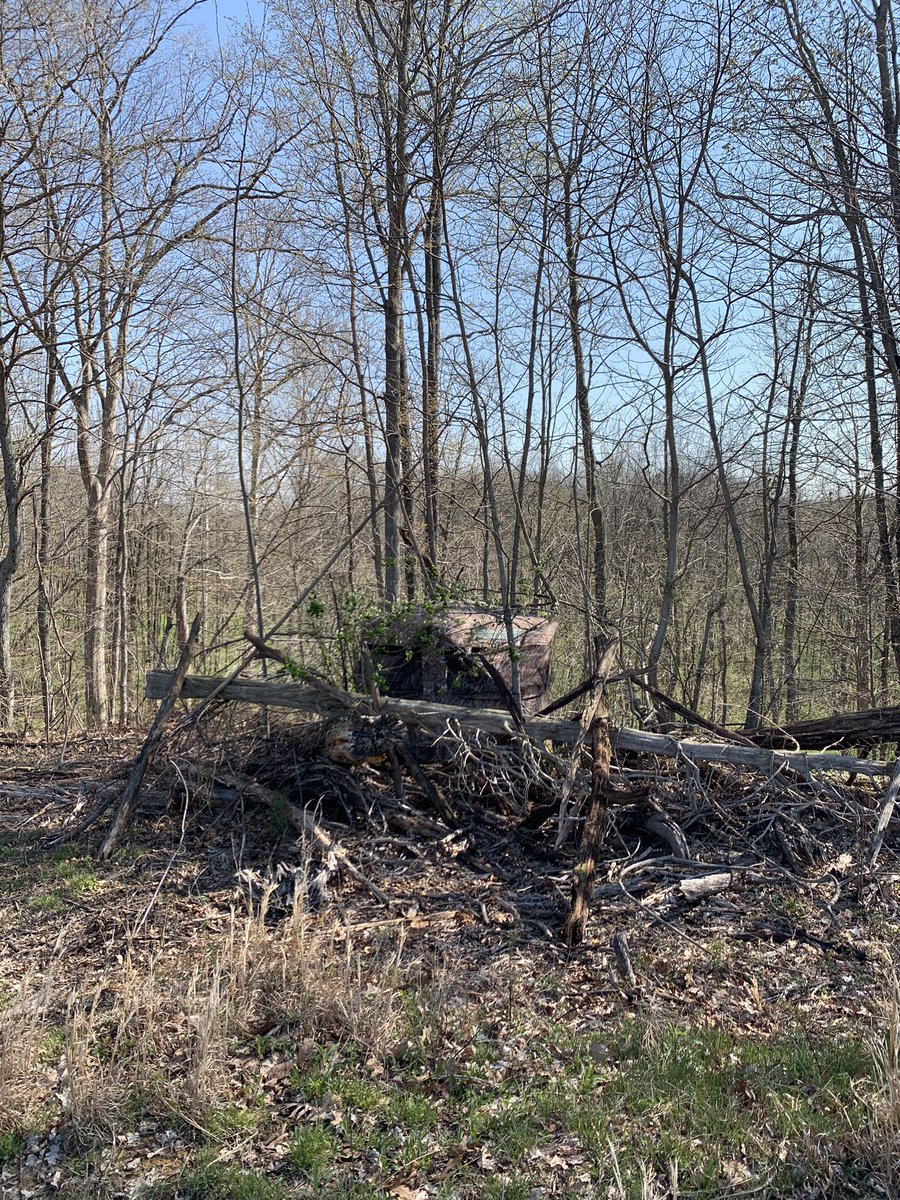 We are ready for Indiana turkey season 😬