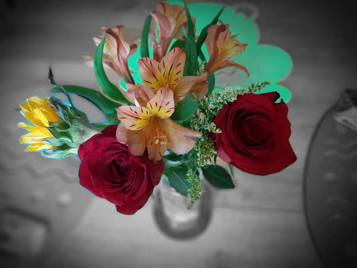 LisaParisi6's tweet photo. One of our parents sent me some virtual flowers today with the caption "Grateful 💗🦋 Appreciate you!" What a kind gesture! Thank you to our entire D23 family for sticking together! #PROUD2BeD23 @PHSD23 @D23Ross https://t.co/RggWyePj23