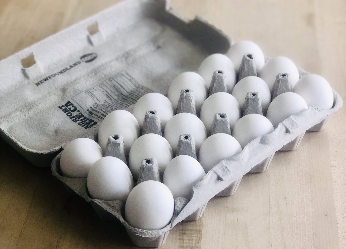 Stella's Circle tweet media