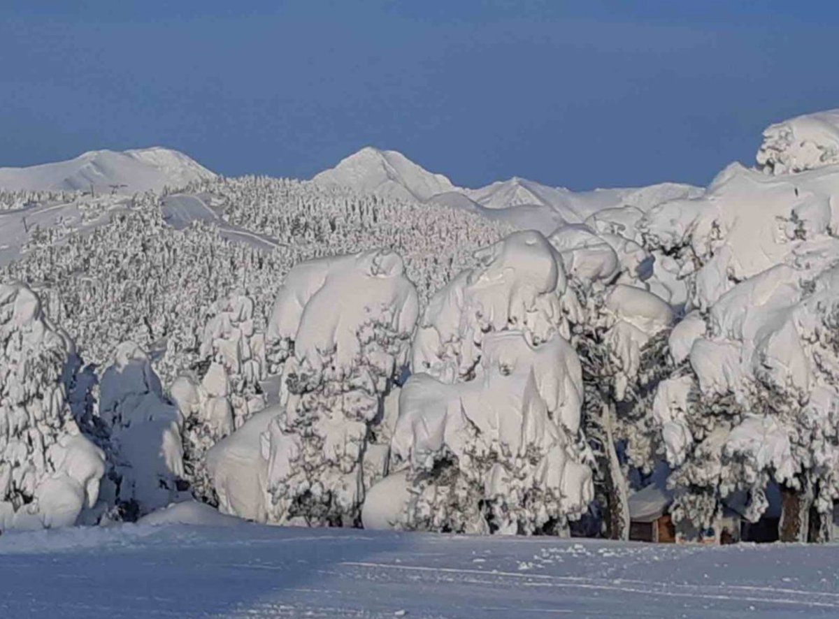 ❄️❄️[ BUENOS RECUERDOS ] ❄️❄️
La nevada que recibimos a finales de enero en <a href="/FontRomeuP2000/">FontRomeuPyr2000</a> fue excepcional. Cayeron entre 1,5 y 2 metros, en muy poco tiempo y dejó paisajes inolvidables 😍
#RecuerdosAltiservice