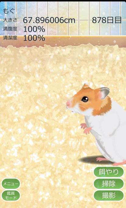 ハムスターのtwitterイラスト検索結果 古い順