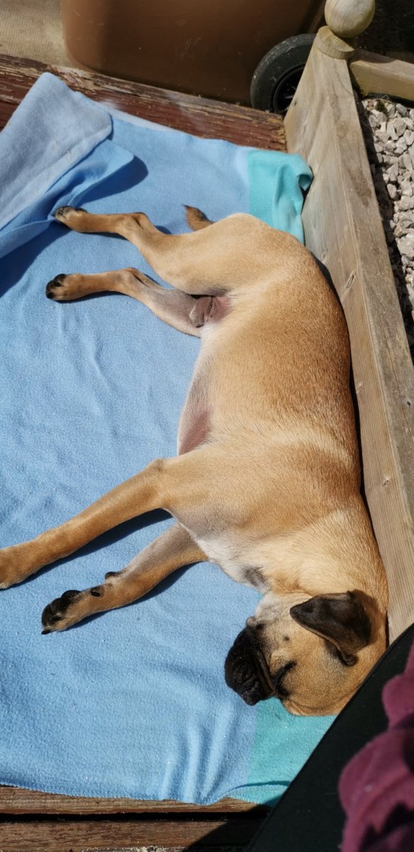 Kayleigh Ryan tweet media