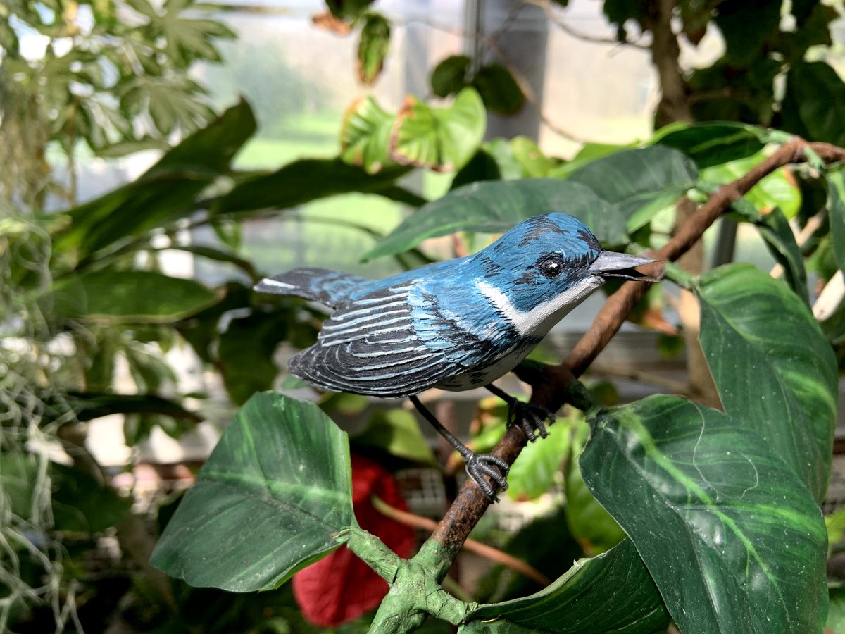 IntireJ's tweet photo. Loved touring an Orchid Greenhouse @BallState with #BSMSFFA & tour guide @EricaForstater! #BSMSROCKS #BSSDPROUD @Mrs_Nace https://t.co/V56FRP79ed