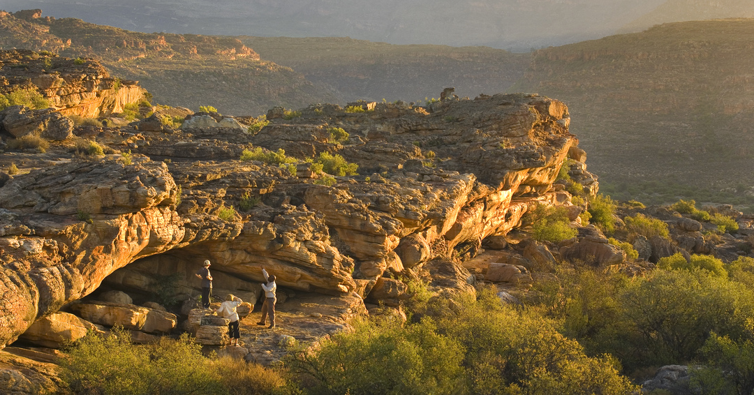 Bushmans Kloof (@bushmanskloof) on Twitter photo Thanks to <a href="/William_D_Gray/">William Gray</a> for reminding us, and the world, why we need to keep planning wildlife holidays ow.ly/QDlw30qyCsD Thanks to <a href="/William_D_Gray/">William Gray</a> for reminding us, and the world, why we need to keep planning wildlife holidays ow.ly/QDlw30qyCsD