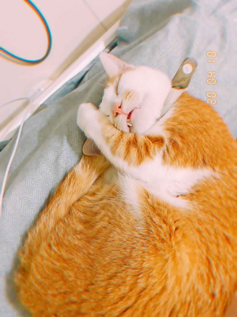 JSlekin's tweet image. 