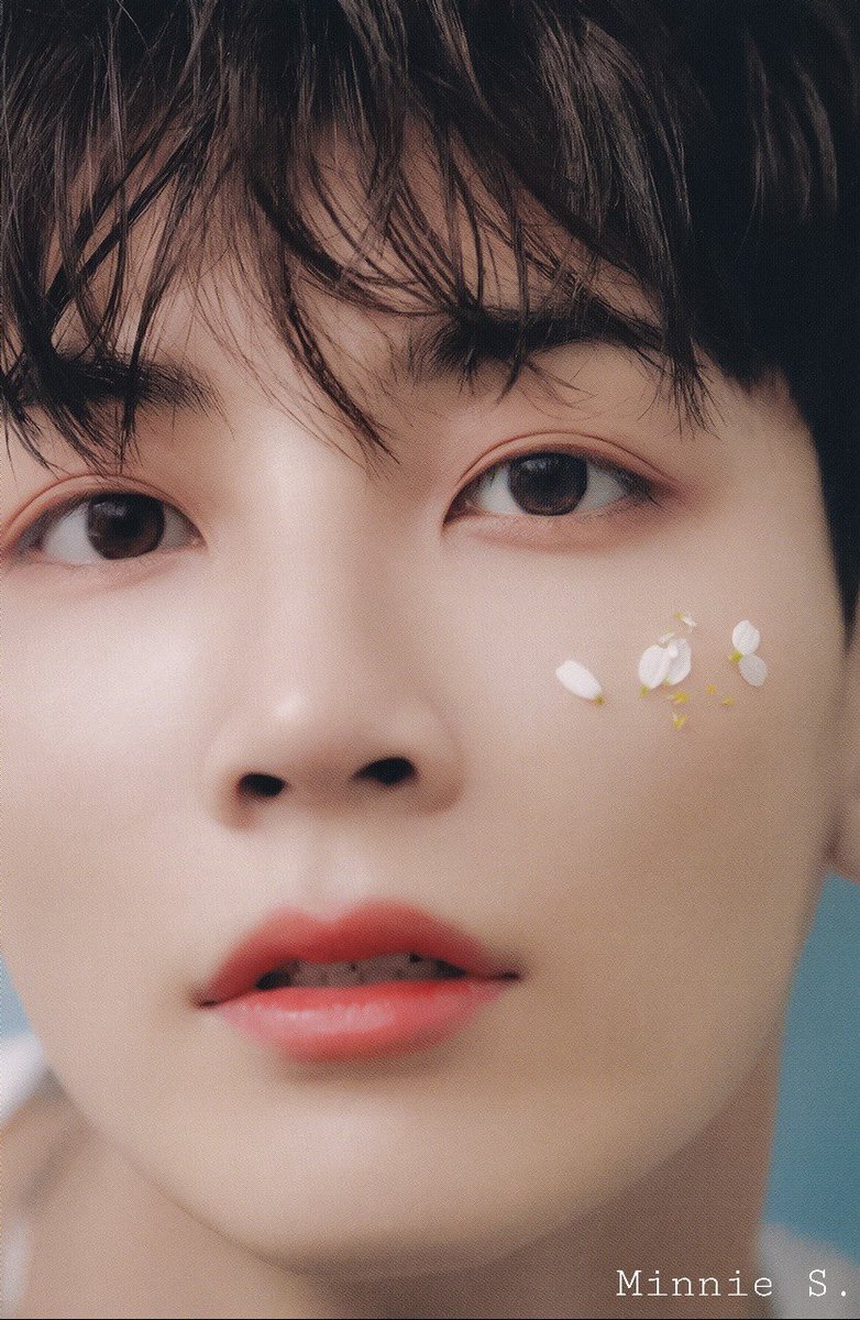 MinnieS1713's tweet photo. [SCAN] Falling Flower (C) #SEVENTEEN #세븐틴
#SCoups #에스쿱스 #エスクプス 
#Jeonghan #정한 #ジョンハン 
#Joshua #조슈아 #ジョシュア https://t.co/FVsOwLl9wf