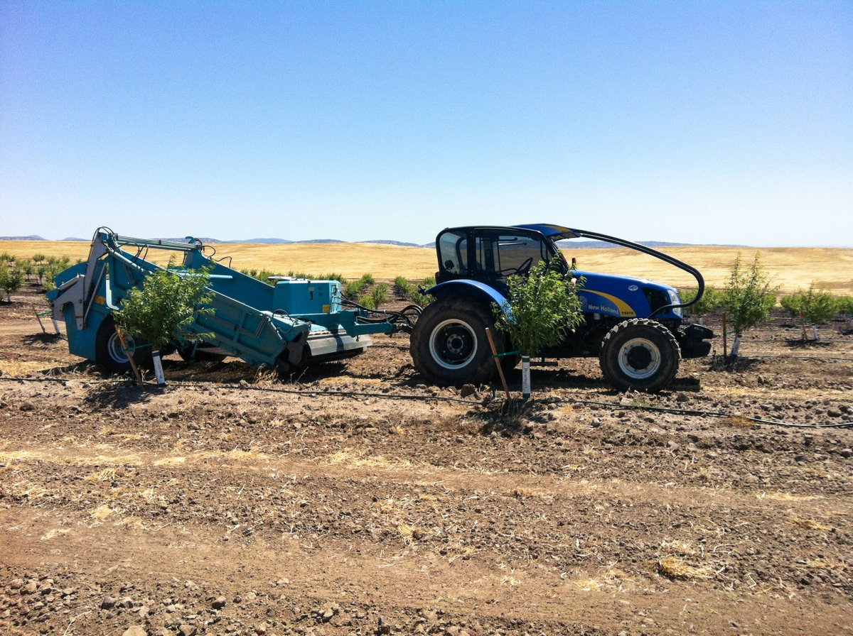 BeachTechWorld's tweet photo. Our #beachcleaners are perfectly suited for many different applications - not only on the beach but also off it! Here's BeachTech in action on an almond farm in #California!  🌿 #beachtech #beachcleaning #offbeachfriday #cleanbeaches https://t.co/ioGAAlZ8to
