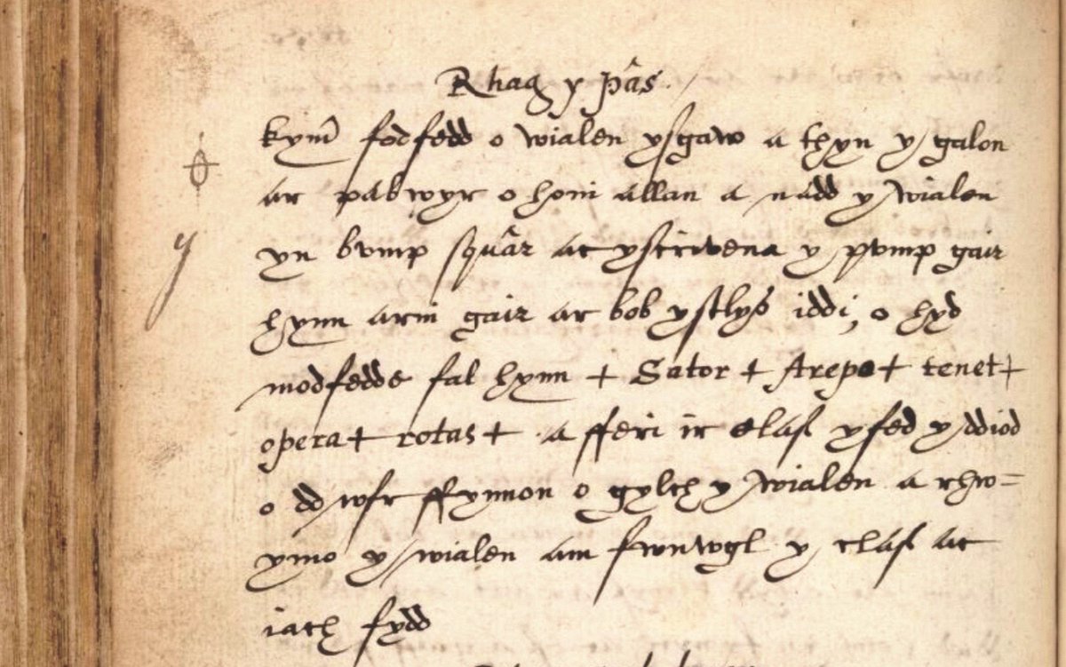 Kate_Leach1's tweet photo. Late 16th c. Welsh charm for a cough involving hollowing out an elder branch, carving efficacious words on part of it, and using the hollow branch as a straw from which to drink spring water. Try it on your next govt. approved nature walk! #History #medicine #Welsh #manuscript https://t.co/RQJ6tiYmz1