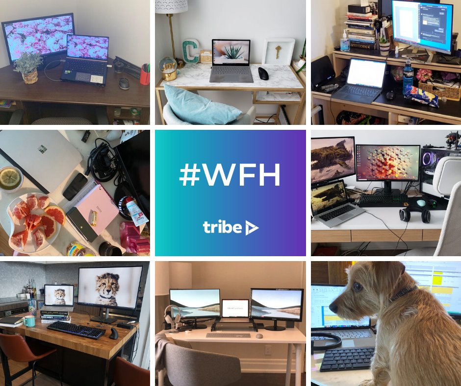 tribeXevents's tweet photo. Check out our new cubicles! Like countless others, Tribe's been embracing the #WFH lifestyle. 
Just like our members, no two workstations are alike. 
#WeTribe https://t.co/rHiYCdloka
