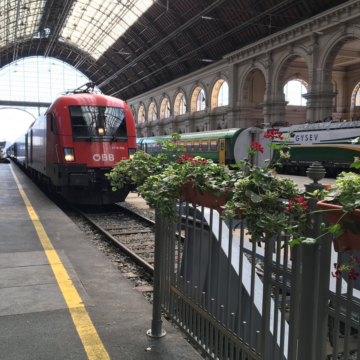 Bonus trainspotting, and a glimpse of the fine interior of Keleti station before we move on...  #theCitybyrail