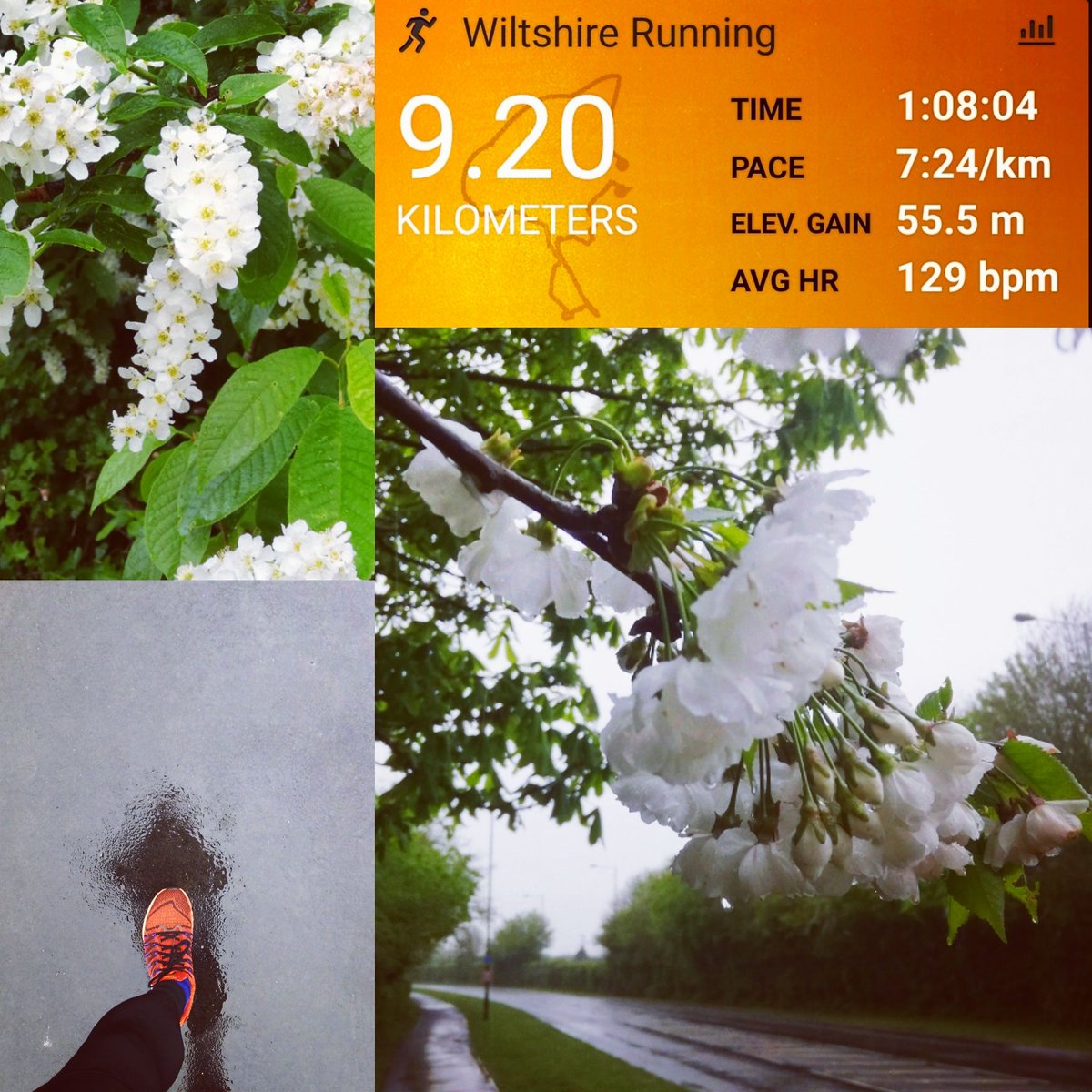 gerardsans's tweet photo. A rainy day cut short my run. So grateful to realise it only took a lockdown to truly appreciate where I live π
ππ»ββοΈ #Day32 #daily5k
π 9.2 km
π 7:24 min/km
β€οΈ 129 avg bpm
ποΈ Total 417.2 km
#running #marathontraining #motivation #daily5k #calne #followyourdreams https://t.co/ZV9talGPRp