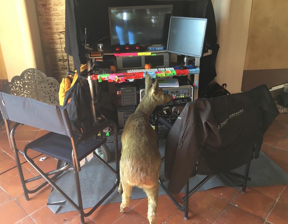 DigiOrchard's tweet photo. #FridayFeeling #flashback… everyone wants to work in #production! 😳🤣

@itsnunipok #digitalorchard #onsetlfe #memories #dit #tv #film #livegrade #filmset #fromcapturetopost https://t.co/cU9F9I03wW