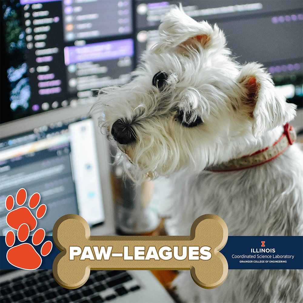 CSL_Illinois's tweet photo. The new CSL staff featured in this week’s Pawleagues post think they can do the job better than their humans! https://t.co/B20ECBAb2i