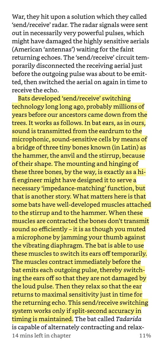 memoakten's tweet photo. It may appear to be an odd time for #BatAppreciationDay, but this mess is not their fault. I came to admire bats yrs ago reading @RichardDawkins wonderful Blind Watchmaker, with a whole chapter on the absolutely incredible diversity & mindblowing solutions nature has given them https://t.co/PiHqC5mrlB