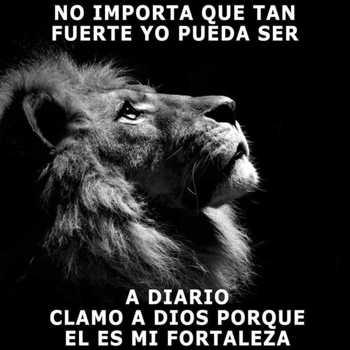 2090Rebeca's tweet photo. https://t.co/XczICXNlVk