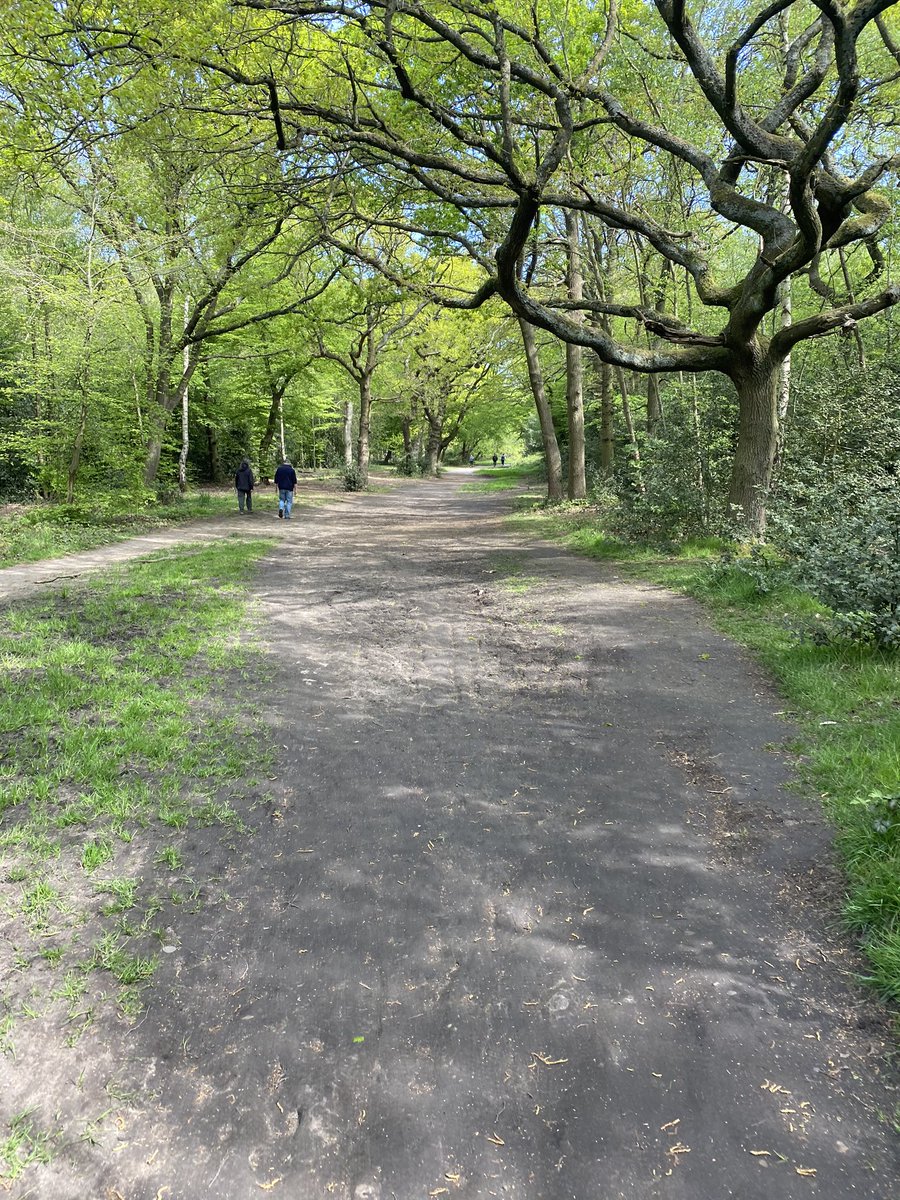 Daily exercises walking in the Forest. Lived here for 17 years and this is what I discovered 5 mins away on foot.