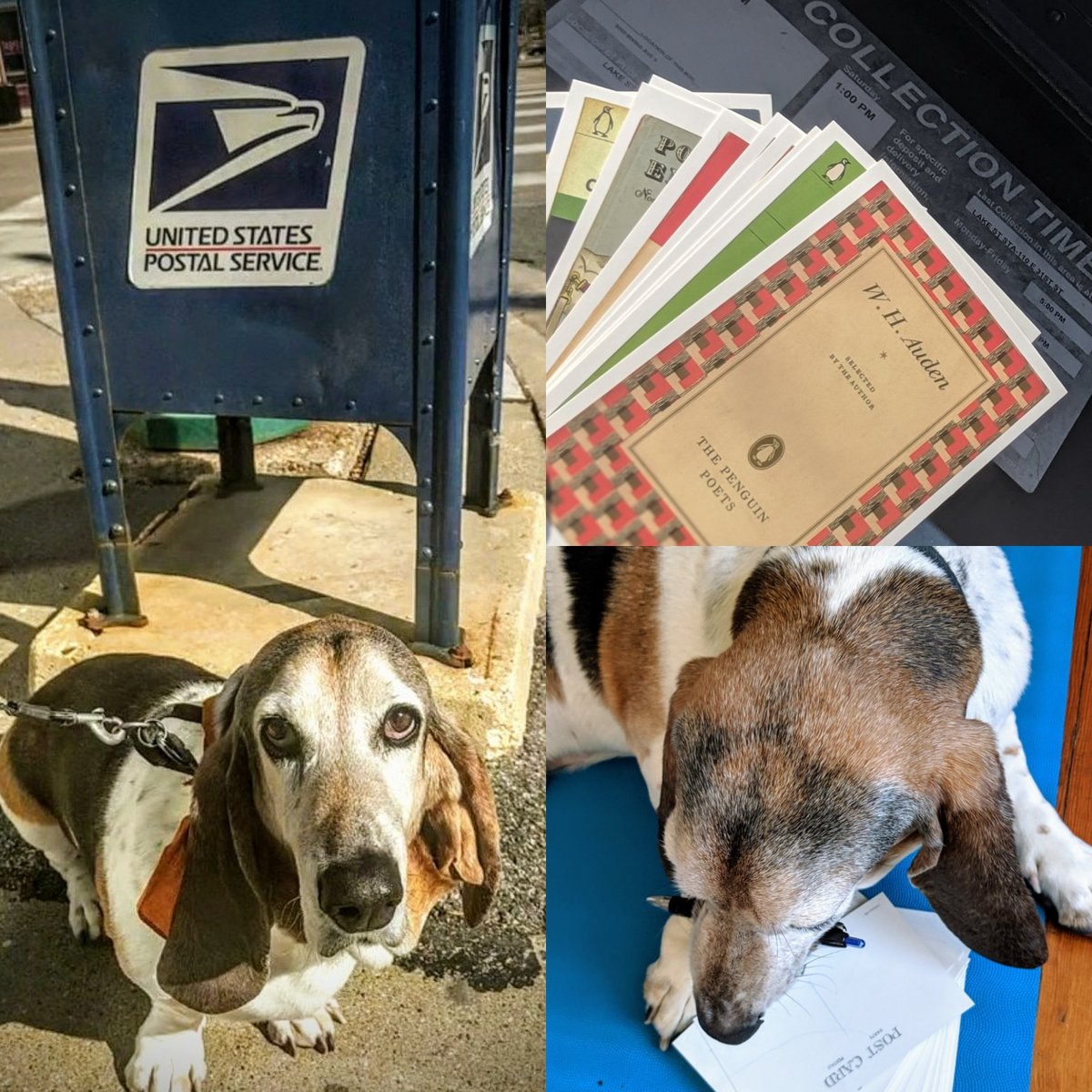NHSOsseo's tweet photo. Sherlock sends postcards to keep in touch with NHS students! 💌 How are YOU working to #StayConnected? #OSHVirtualSpirit @OSHorioles https://t.co/OQZlOvhWBJ
