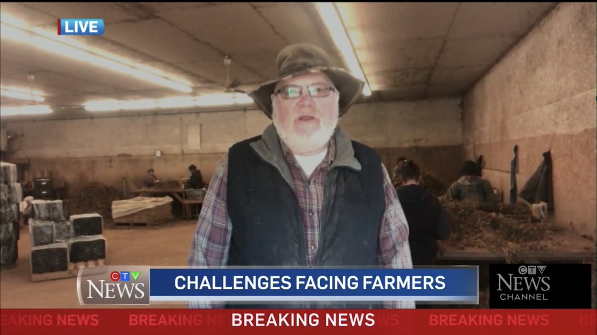 Katie Keddy tweet media