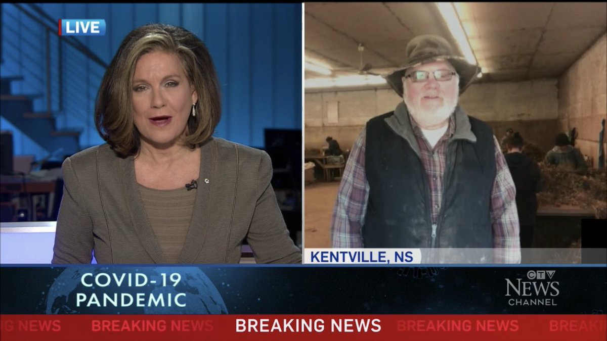 Katie Keddy tweet media