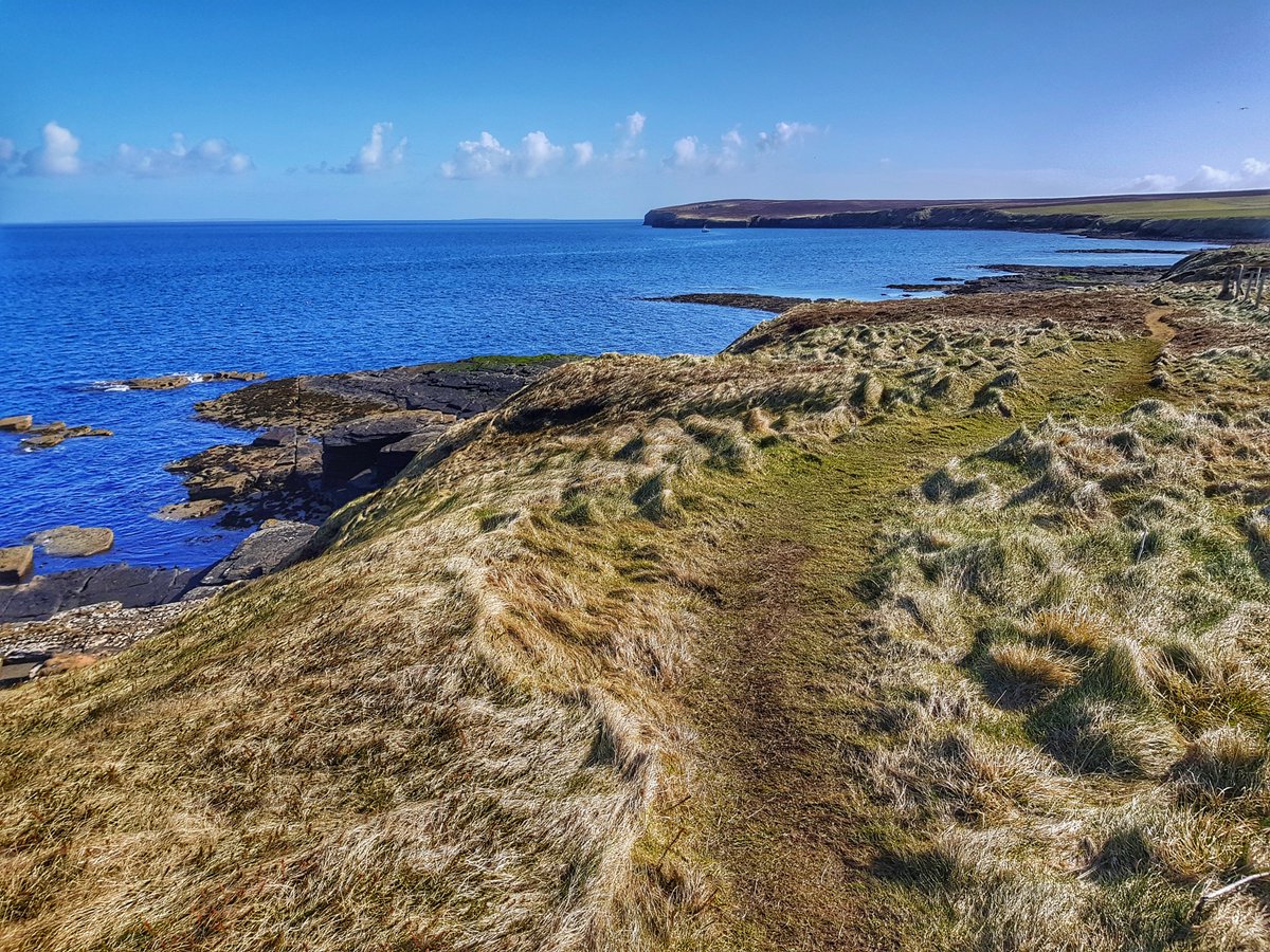 ScotAdventures's tweet image. Yesterday's #Orkney walk with no-one else around = bliss!
