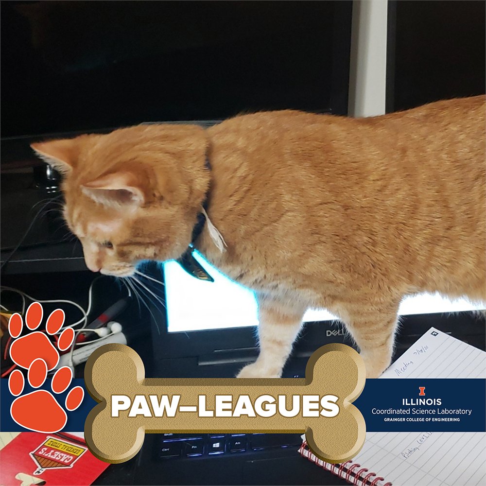 CSL_Illinois's tweet photo. The new CSL staff featured in this week’s Pawleagues post think they can do the job better than their humans! https://t.co/B20ECBAb2i