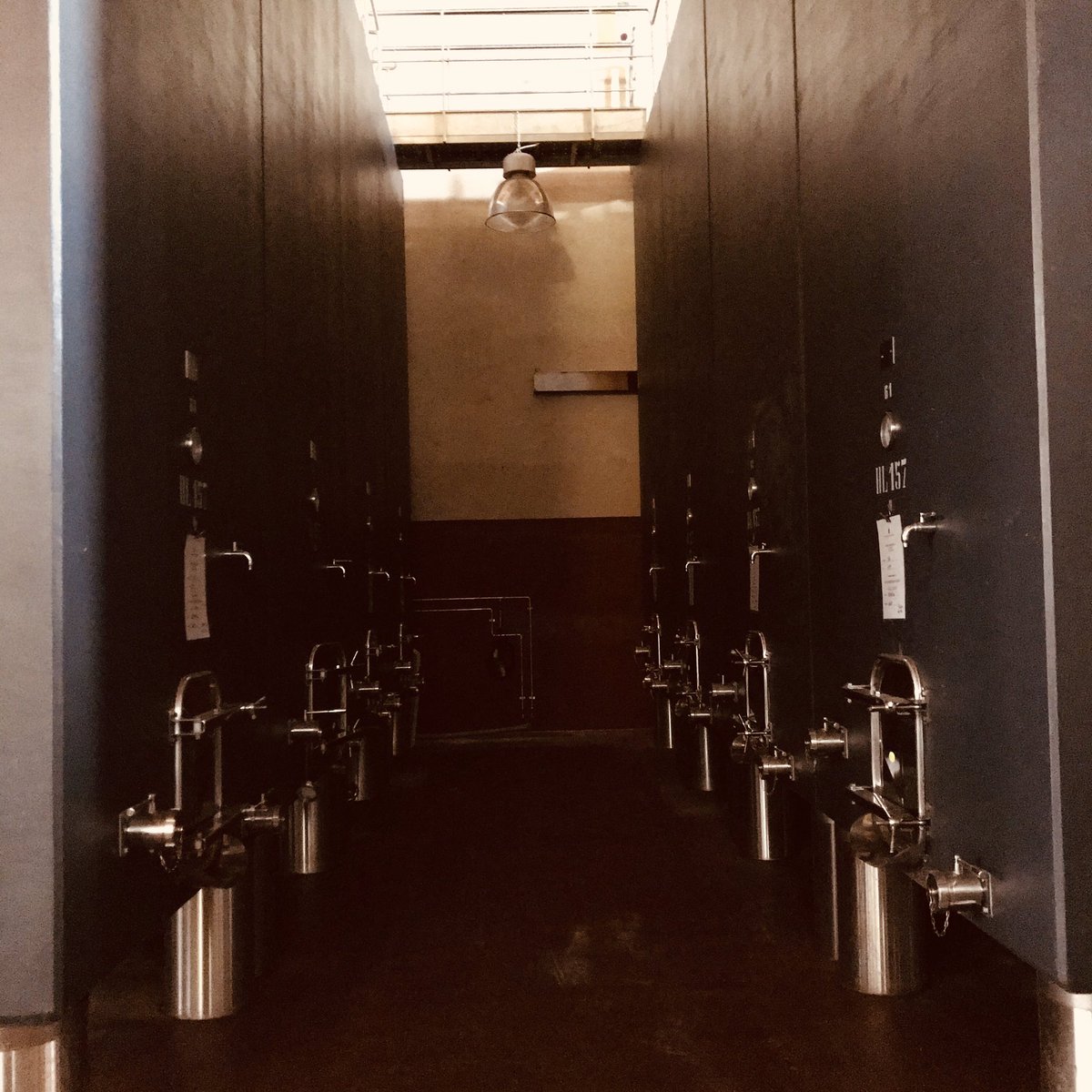 rizzardiwines's tweet photo. #allquiet #here #weekswork #done #timeforhome looking forward to #summer to a full #tastingroom to #welcomingback #guests to #busier #times #madeintaly #italianwine #valpolicella #bardolino #soave #amarone #estategrown #familyowned #guerrieririzzardi #staysafe #drinkgreatwine https://t.co/4BR81GojSR
