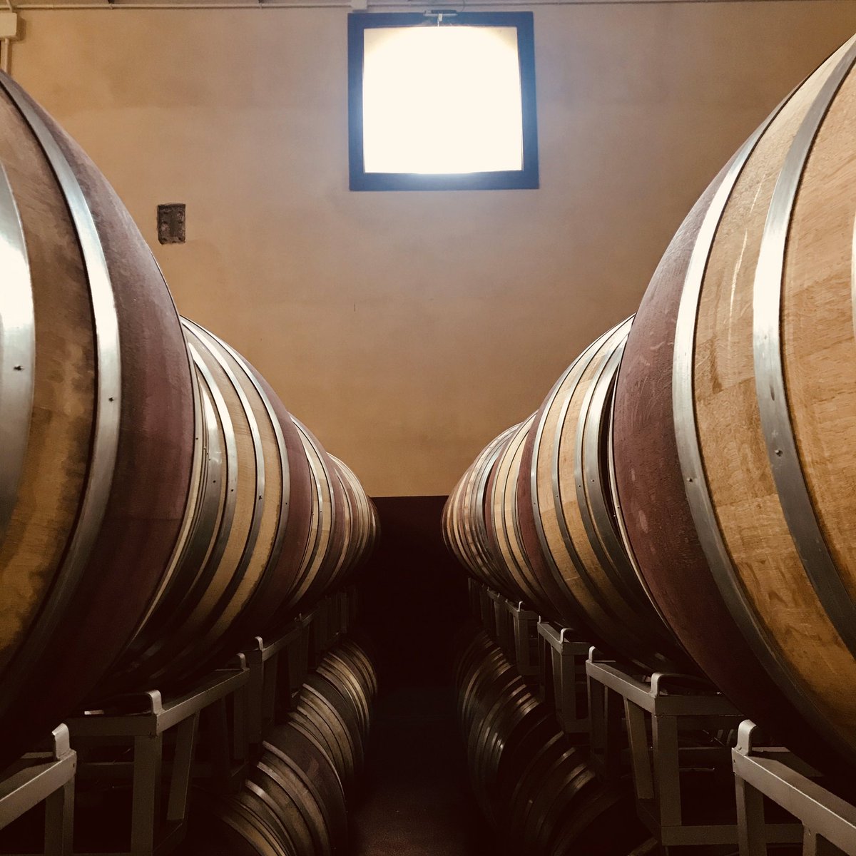 rizzardiwines's tweet photo. #allquiet #here #weekswork #done #timeforhome looking forward to #summer to a full #tastingroom to #welcomingback #guests to #busier #times #madeintaly #italianwine #valpolicella #bardolino #soave #amarone #estategrown #familyowned #guerrieririzzardi #staysafe #drinkgreatwine https://t.co/4BR81GojSR