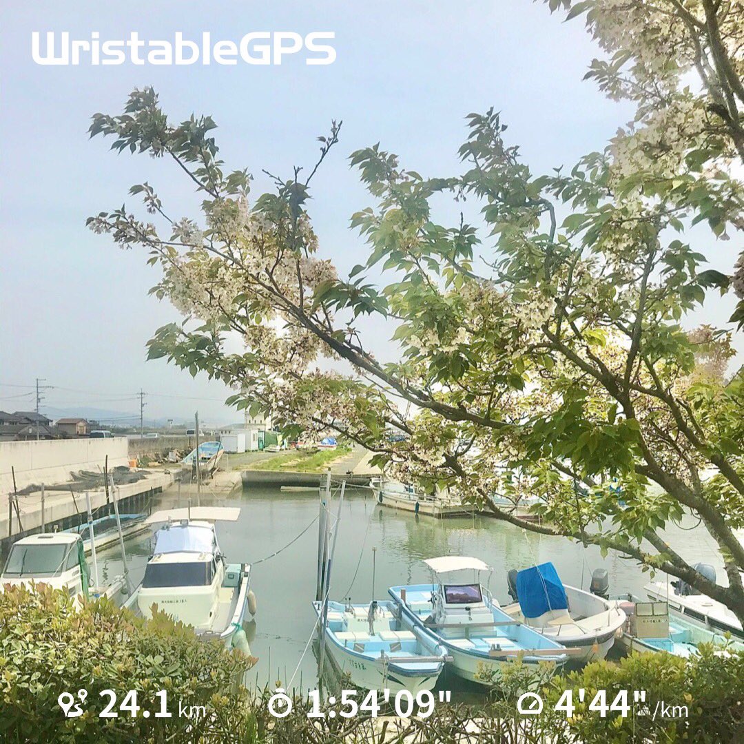 冒険彗星 Twitter Search Twitter