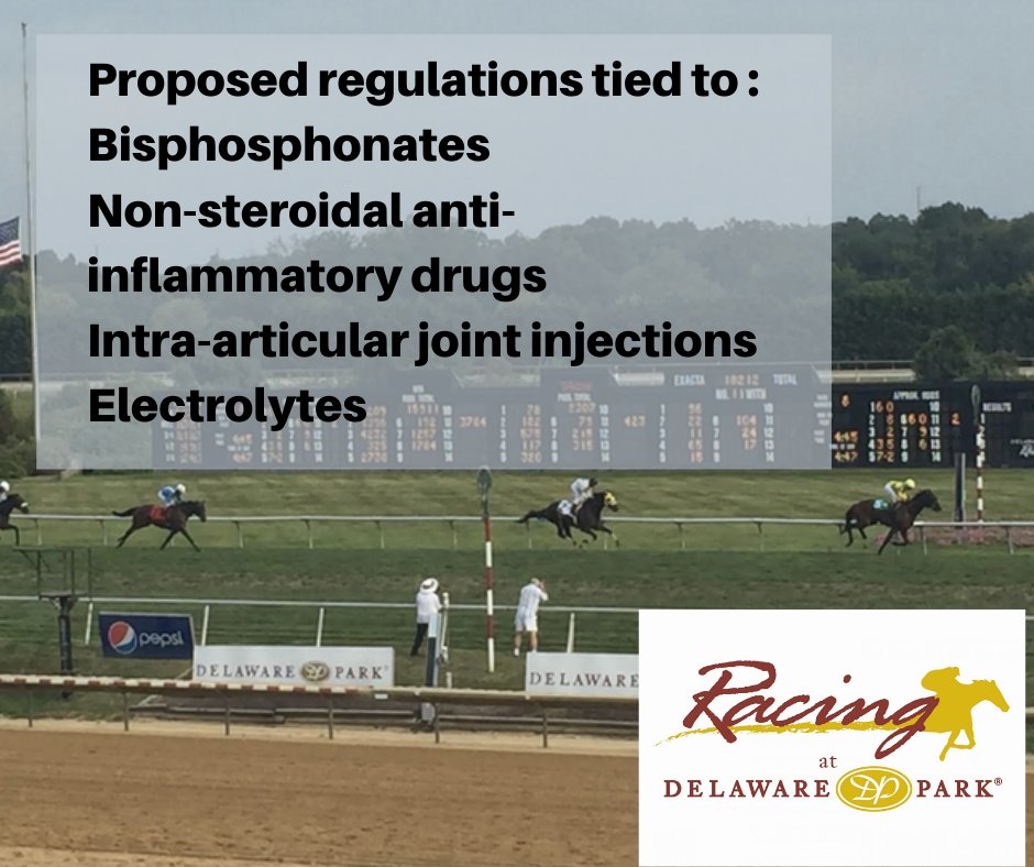 Delaware moves forward with equine health and safety regulations: tharacing.com/delaware-moves…