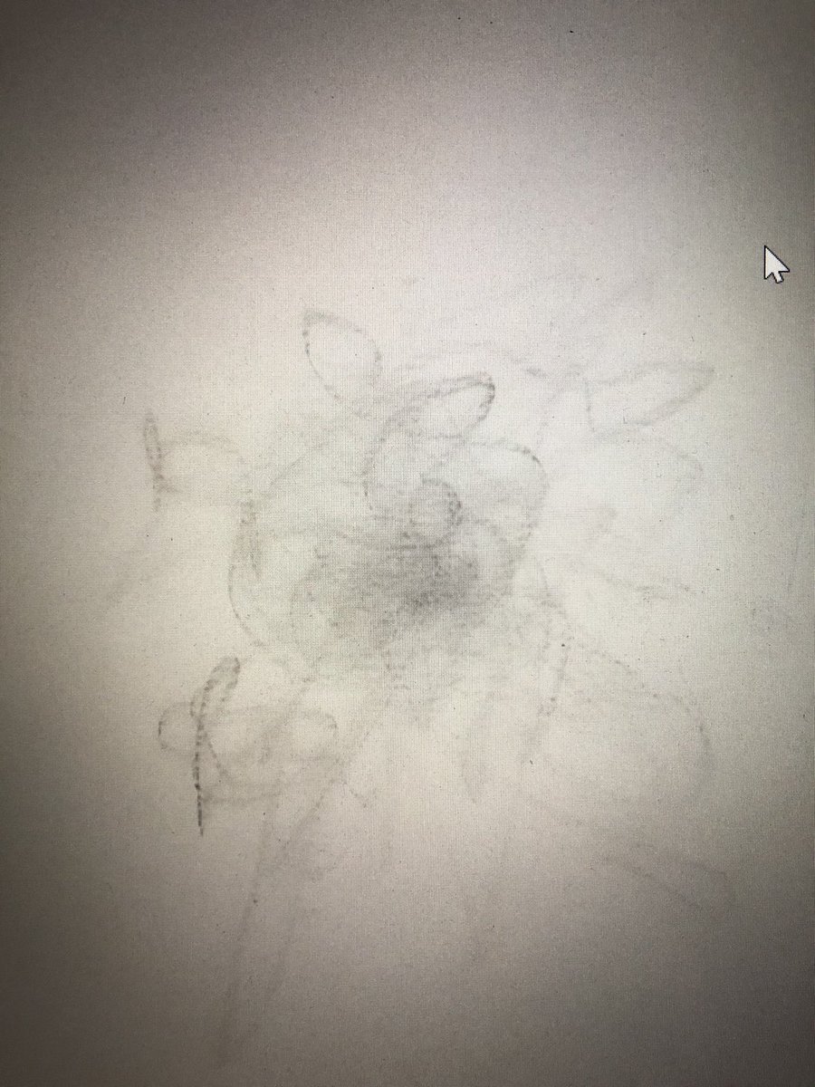donna_karol's tweet photo. How beautiful is this??? One of my Ss visually reflect on time in quarantine while learning via digital technology. They put a piece of lead under their mouse and created this drawing of learning over 1 day. #fcsrising @ArtsFCS @Cougar_Captain @CorrigantTim https://t.co/OauwgQIsx6