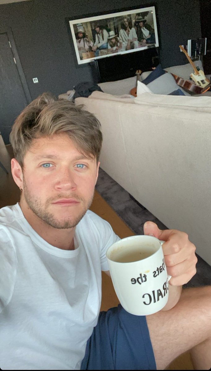 Niall Horan Spain on Twitter: "📸|| Nueva selfie de @NiallOfficial 🥰🥰🥰🥰 Vía instagram stories https://t.co/uI4JQNCyuQ" / Twitter